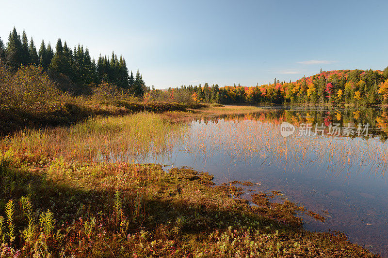 在Mont Tremblant国家公园的风景如画的湖